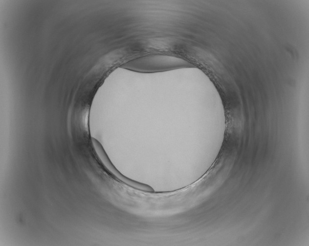 X0000110970047200907310938