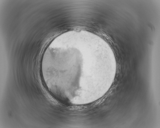 X0000110970049200907310937