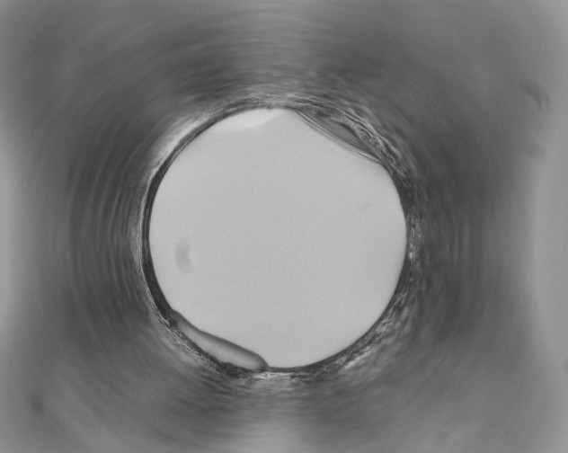 X0000110970052200907310937