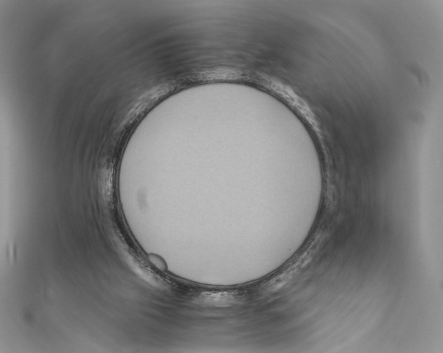 X0000110970057200907310938