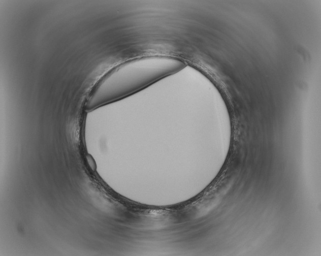 X0000110970060200907310938