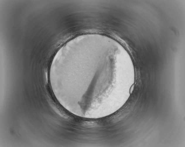 X0000110970061200907310938