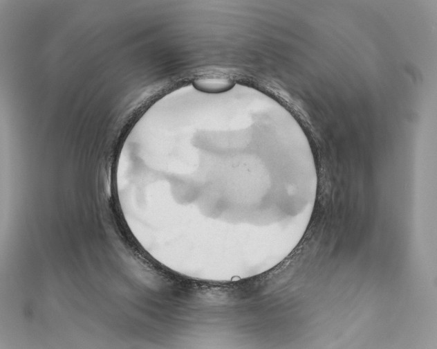 X0000110970062200907310938