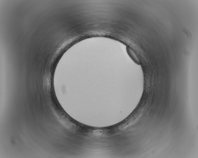 X0000110970064200907310938