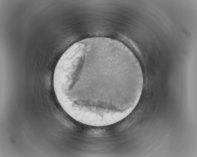 X0000110970065200907310938
