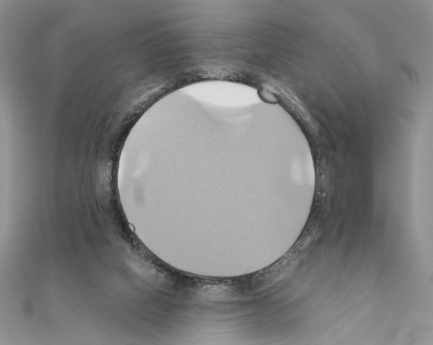 X0000110970066200907310938