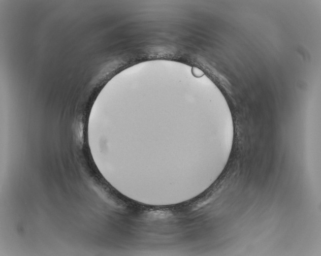 X0000110970067200907310938