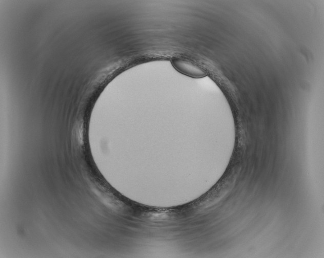 X0000110970068200907310938