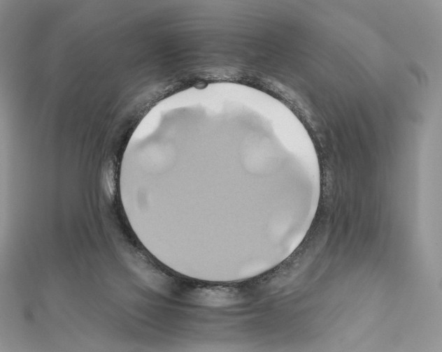 X0000110970069200907310938