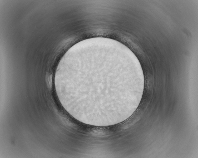 X0000110970070200907310938