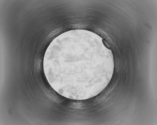 X0000110970071200907310938