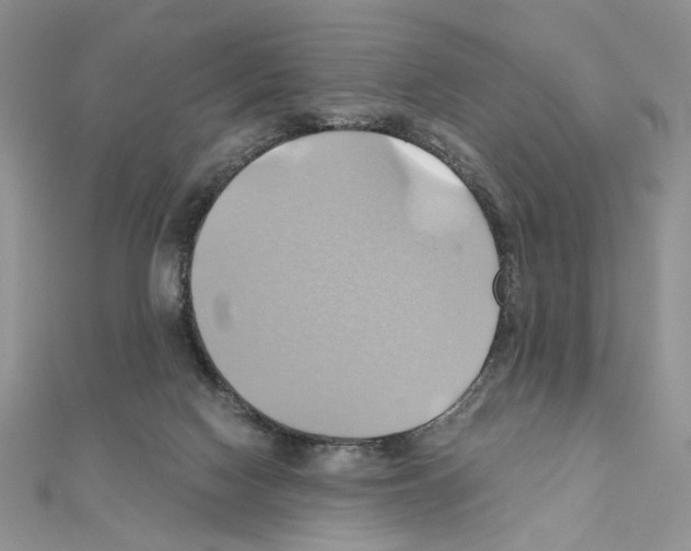X0000110970074200907310938