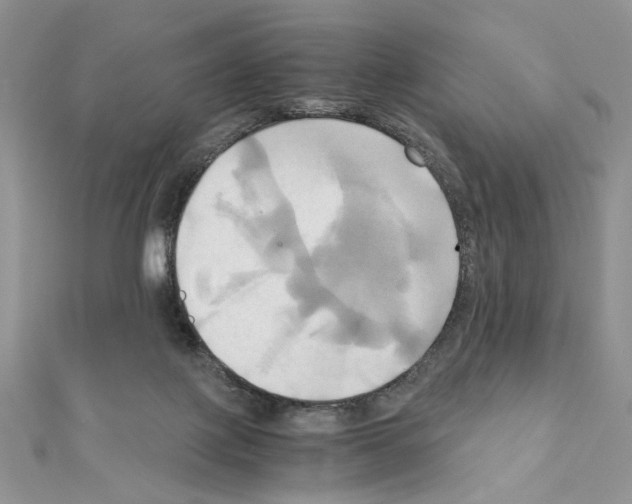 X0000110970075200907310938