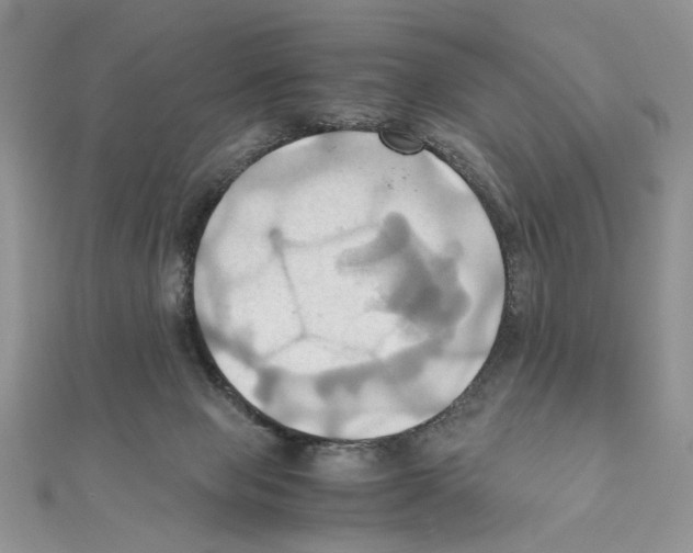X0000110970077200907310938