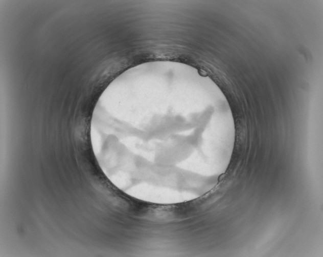 X0000110970078200907310938