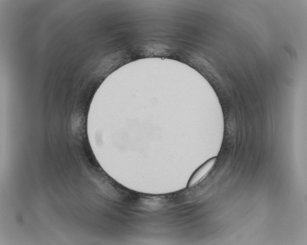 X0000110970079200907310938