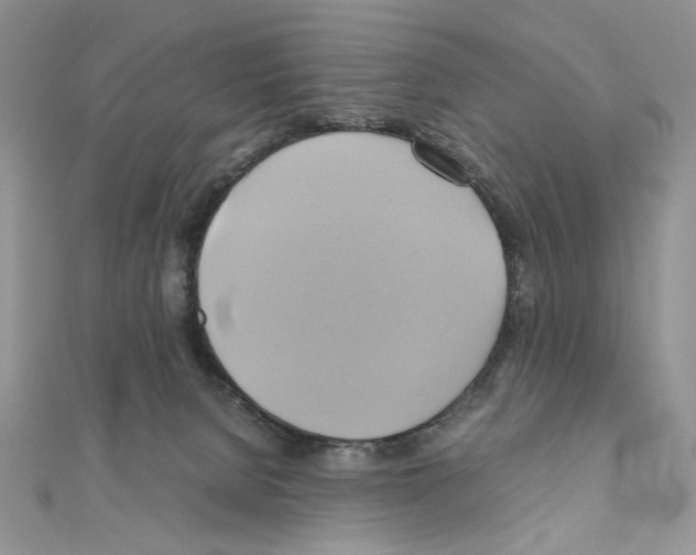 X0000110970080200907310938