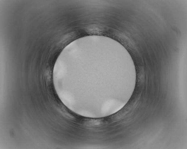 X0000110970081200907310938