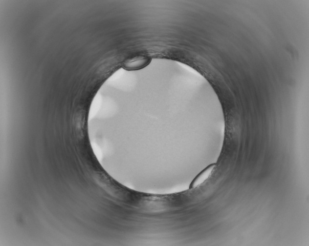 X0000110970082200907310938