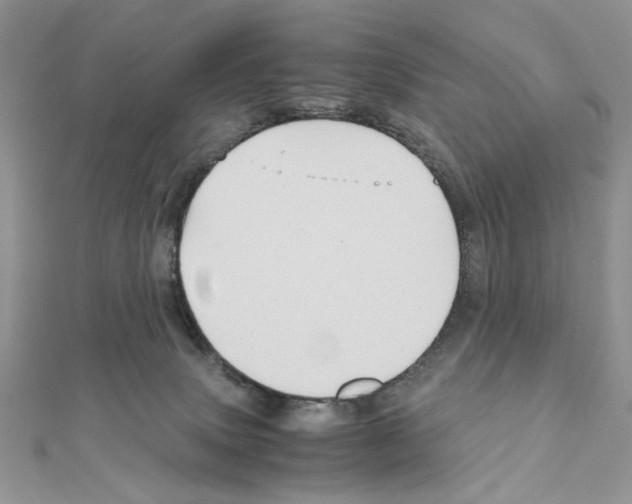 X0000110970083200907310938
