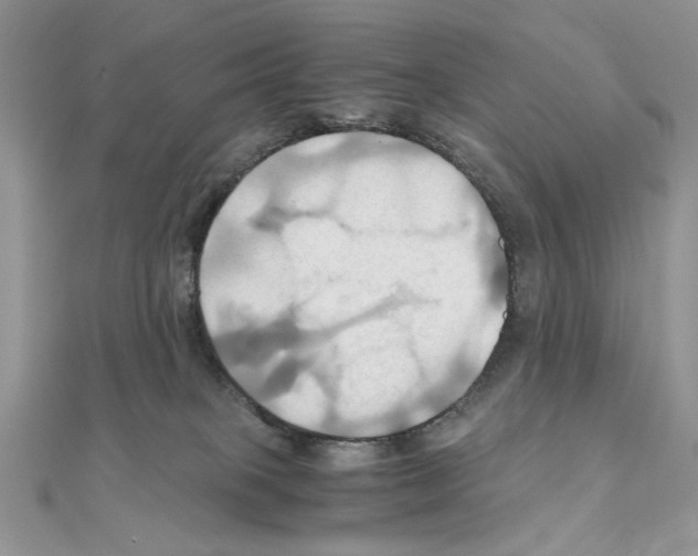 X0000110970085200907310938