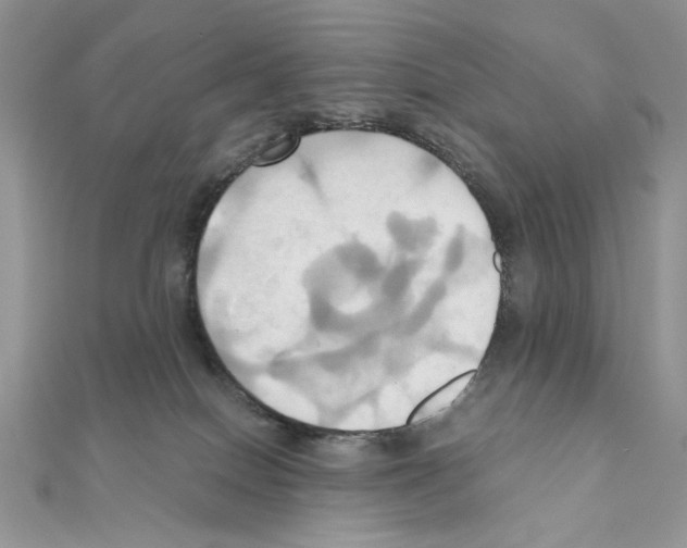 X0000110970086200907310938