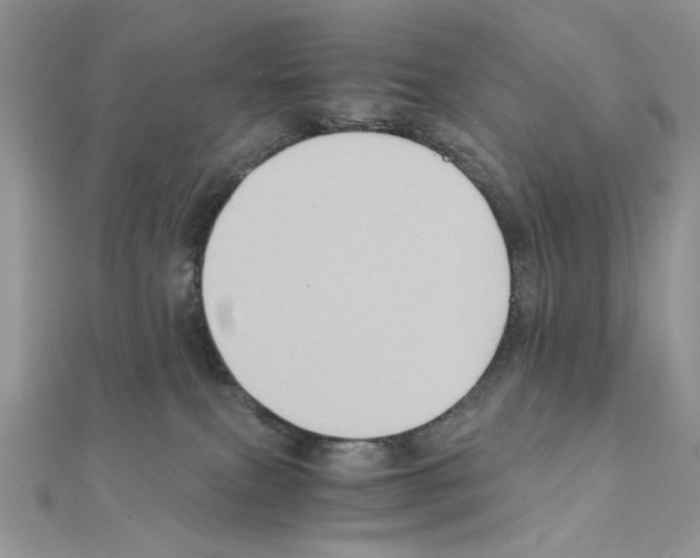 X0000110970087200907310938