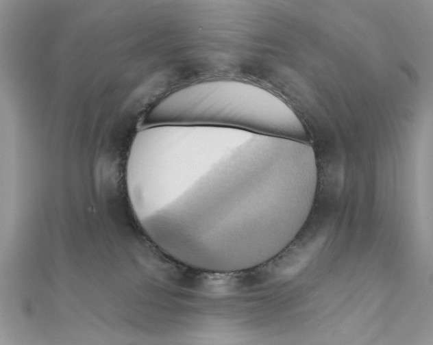 X0000110970088200907310938