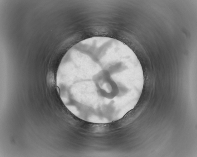 X0000110970089200907310938