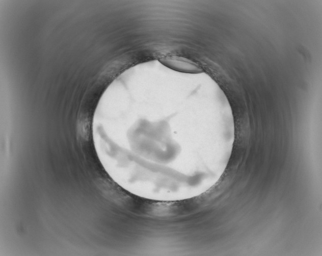 X0000110970090200907310938