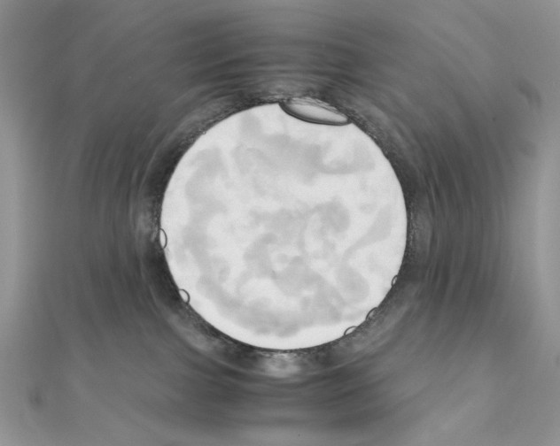 X0000110970091200907310938