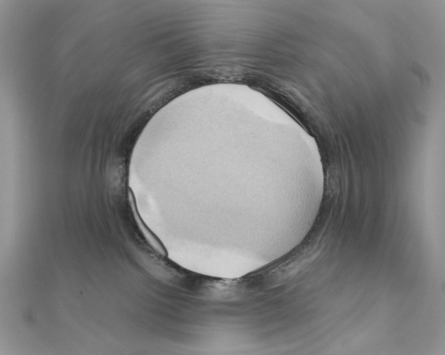 X0000110970092200907310938