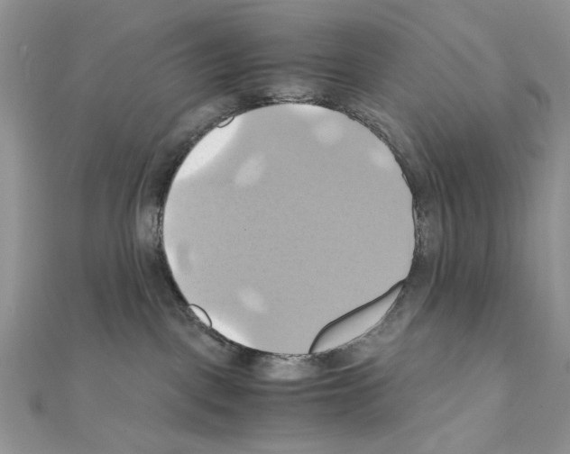 X0000110970093200907310938