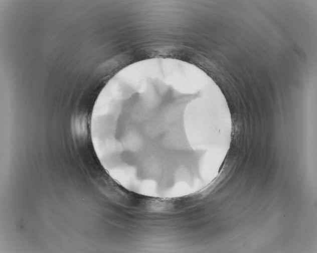 X0000110970094200907310938