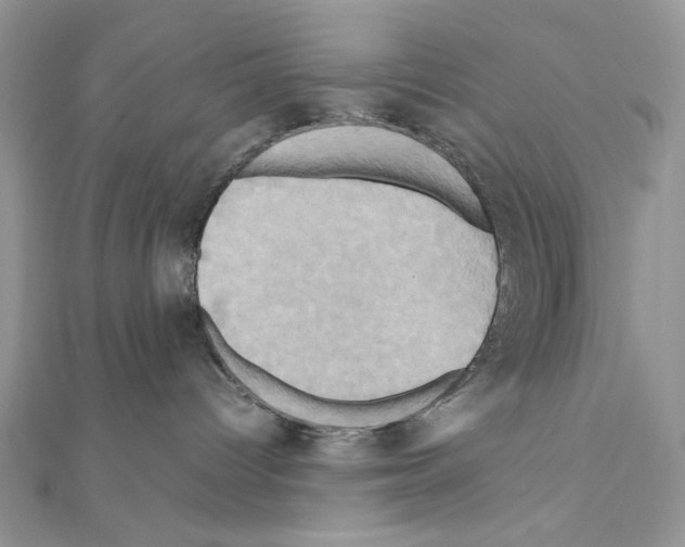 X0000110970096200907310938