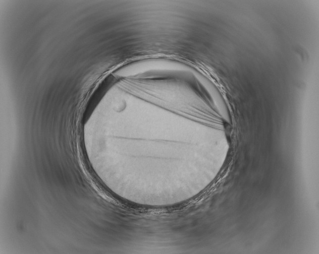 X0000110970097200907310937