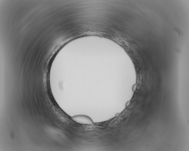 X0000110970098200907310937