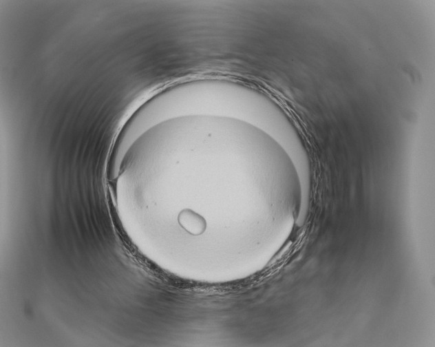 X0000110970100200907310937