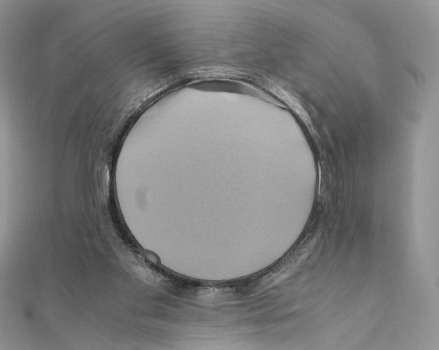 X0000110970109200907310937