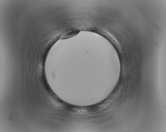 X0000110970113200907310937