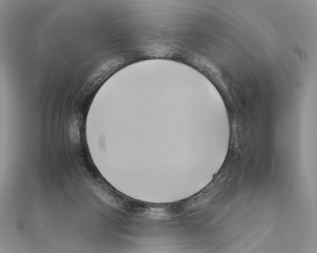X0000110970114200907310937