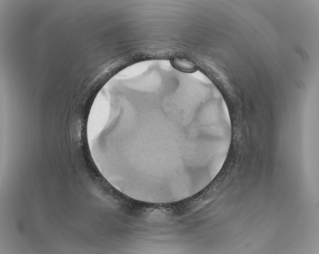 X0000110970115200907310937