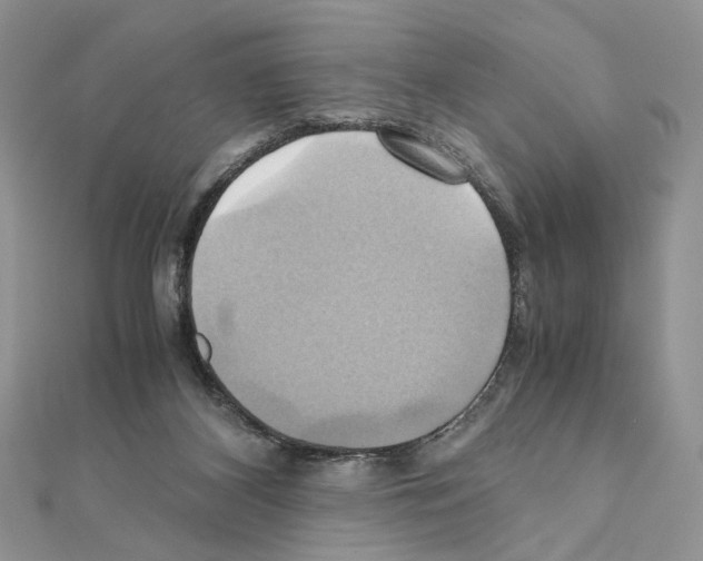 X0000110970116200907310937