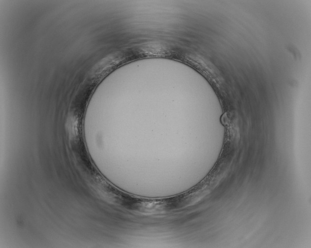 X0000110970117200907310937
