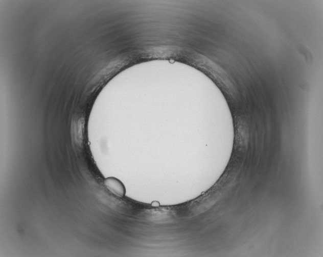 X0000110970118200907310937