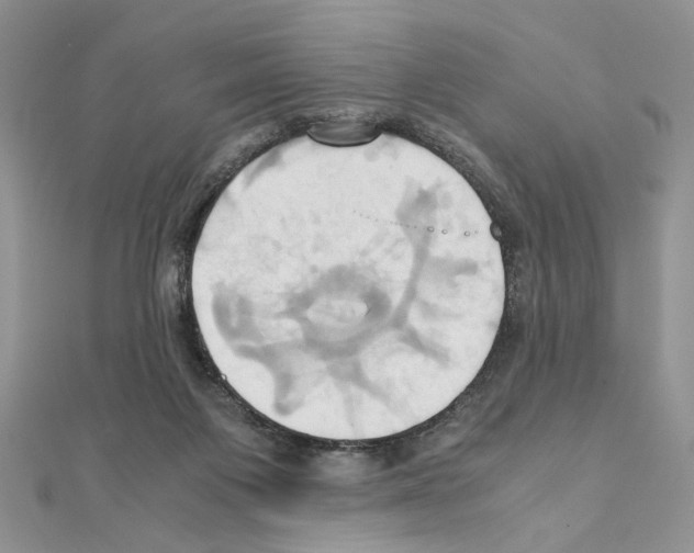 X0000110970119200907310937