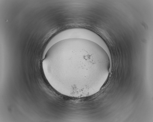 X0000110970120200907310937