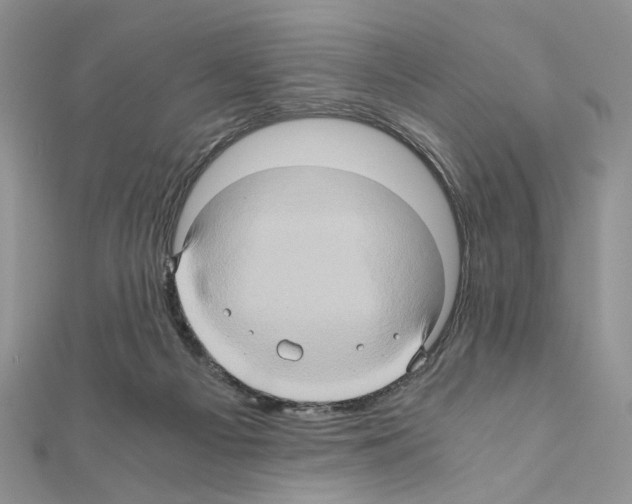X0000110970121200907310937