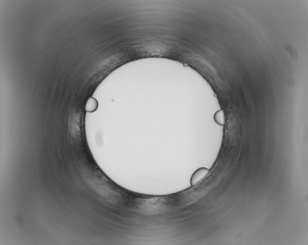 X0000110970122200907310937
