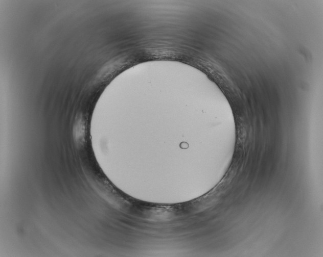 X0000110970124200907310937